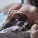 Marilyn Tolley - Facebook