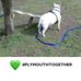 Marilyn Tooley - Facebook
