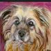 Marilyn Tracy - Facebook