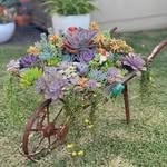 Marilyn Tracy - @mtracy3534 - Instagram