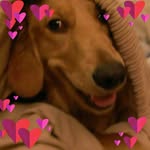 Marilyn Traverse Horrigan - @traverse.marilyn - Instagram