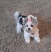Marilyn Triplett - Facebook