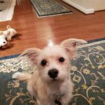 Marilyn Varner - @varnermarilyn - Instagram