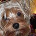 Marilyn Vogt - Facebook