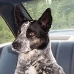 Marilyn Wakely - @marilynwakely - Instagram