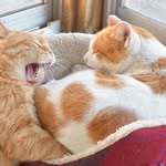 Marilyn Wakeman - @marilynwakeman - Instagram