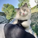 Fujiwara Emi - @marilynwalker863 - Instagram