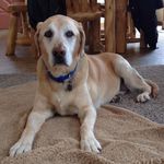 Marilyn Waller - @marilyn.waller.73 - Instagram