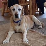 Marilyn Waller - @marilyn_waller - Instagram