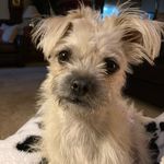 Marilyn Wallis - @mwallis1948 - Instagram