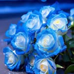 Marilyn Walter - @marilynwalter2811 - Instagram