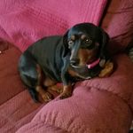 Marilyn Ware Duncan - @marilynduncan8003 - Instagram