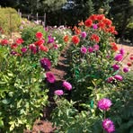 Marilyn Weese - Facebook