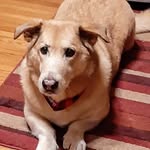 marilynne weese - @marilynne.weese - Instagram