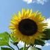 Marilyn Wegner - Facebook