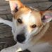Marilyn Weidner-Mauzey - Facebook