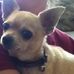 Marilyn Weldon - Facebook