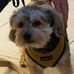 Marilyn Wenzel - Facebook