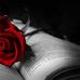 Marilyn Wenzel - Facebook