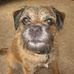 Marilyn Westcott - Facebook