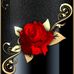 Marilyn Wheaton - Facebook
