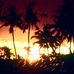 Marilynn Whitcomb - Facebook
