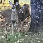 Marilyn Fresonke Whitley - @marilyn.whitley - Instagram