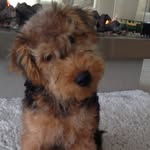 Marilyn Whitley - @marilyn_whitley - Instagram
