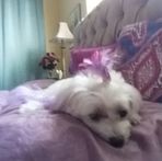 Marilyn Whitlow - Facebook
