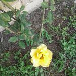 Marilyn Wick - @marilyn.wick.988 - Instagram