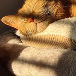 Marilyn Wickens - @marilynwickens - Instagram