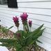 Marilyn Wilhelm - Facebook