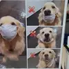 marilynnmartin6 - @marilynnmartin6 - TikTok
