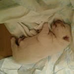 Marilyn Robinson - @marilyn.robinson.733 - Instagram