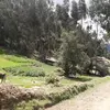 Marin Gonzalez - @marin.gonzalez2 - TikTok