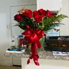marinaantonio741 - @marinaantonio741 - TikTok