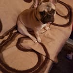 Marina Arnold - @marina.arnold.73 - Instagram