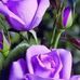 Flor Marina Aronson - Facebook