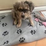 Marina Berti - @marinafdm - Instagram