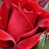 Marina.bright - @marina.bright - TikTok