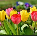 Marina Briones - Facebook