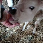 Marina Buffa - @marina.buffa.54 - Instagram