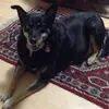 marinabusch935 - @marinabusch935 - TikTok
