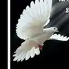 Marina Cano - @marina.cano965 - TikTok