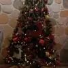 marinacano402 - @marinacano402 - TikTok