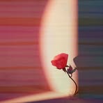 Marina Colson - Facebook