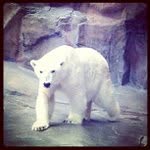 Marina Courson - @panductiv - Instagram