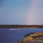 Dillon Cove Marina & Resort - @dilloncovemarina - Instagram