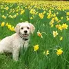 Marina Dunne - @marina.dunne - TikTok