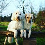 Marina Plate und Eddy - @marinaplate - Instagram
